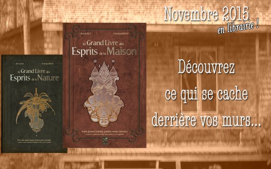 grandlivreespritsmaison003